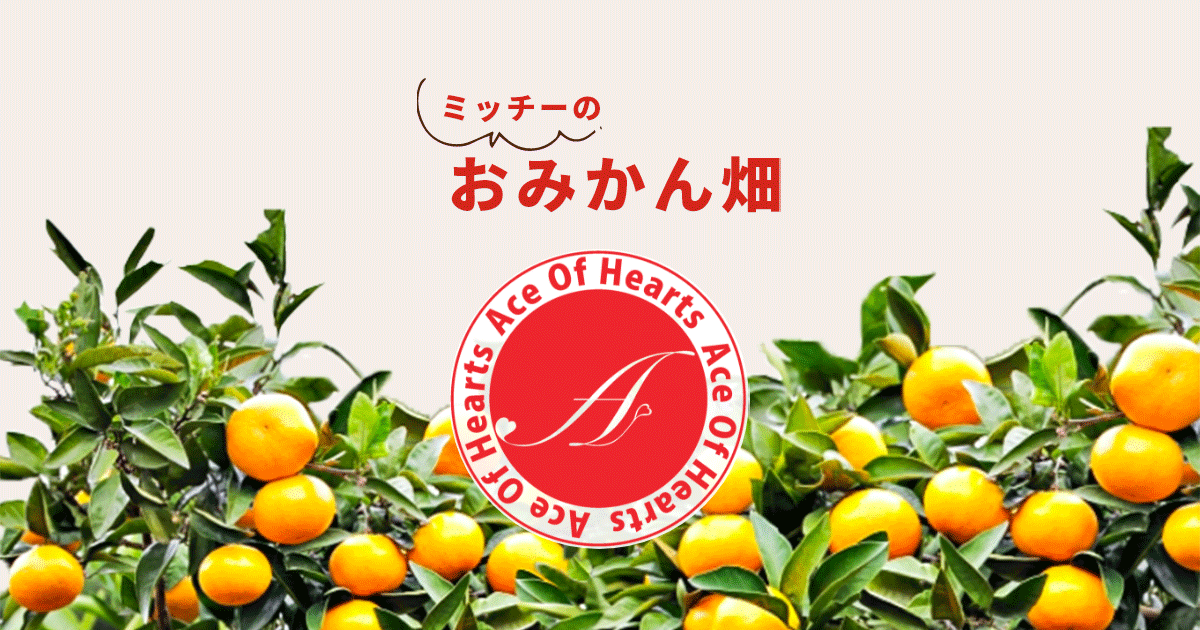 ミッチー の おみかん畑&#39;s shop様確認用 ミッチー の おみかん畑 / 全商品